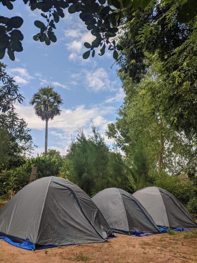 הוסטל אורוויל Travellers Tribe By Livelehood Habitat מראה חיצוני תמונה