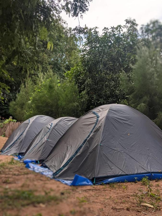 הוסטל אורוויל Travellers Tribe By Livelehood Habitat מראה חיצוני תמונה