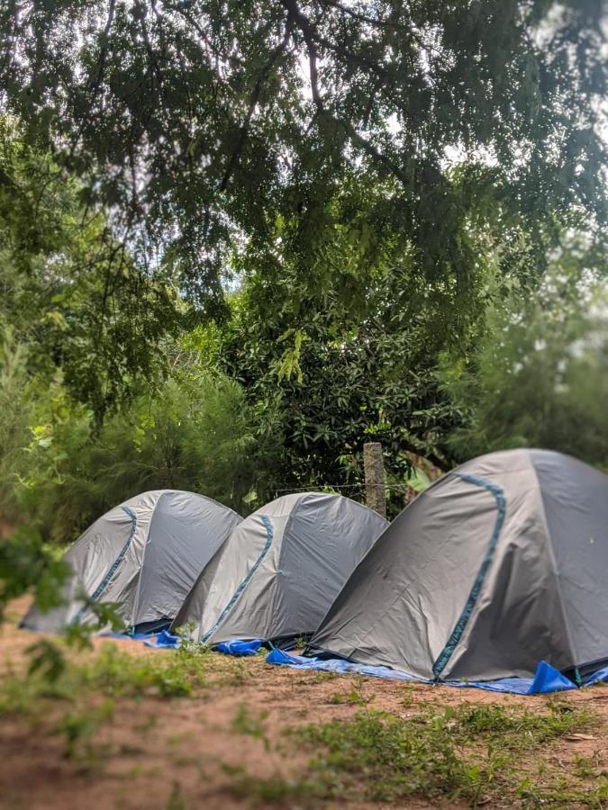 הוסטל אורוויל Travellers Tribe By Livelehood Habitat מראה חיצוני תמונה